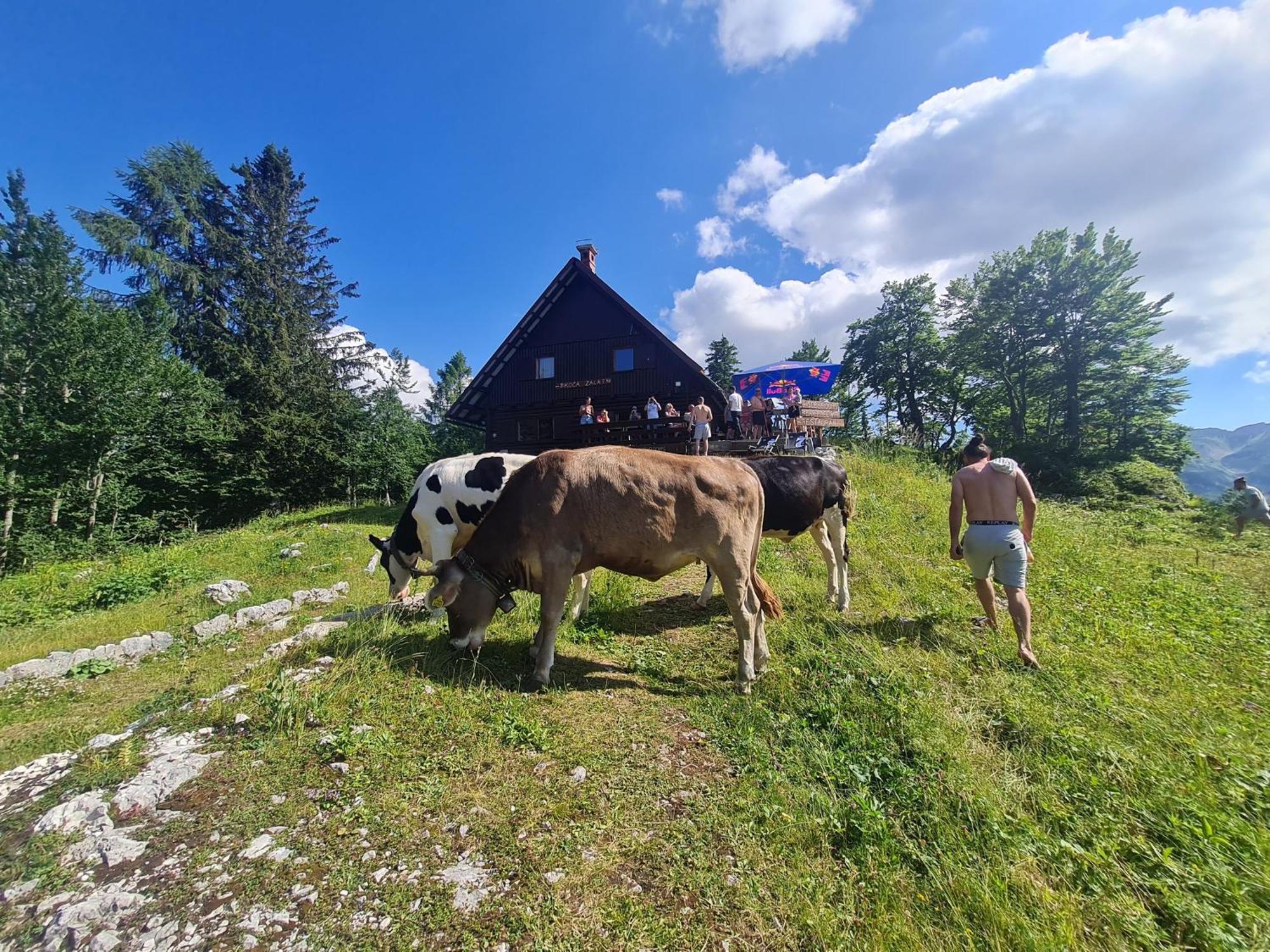 Chalet Burja At Vogel Mountain - Cable Car Access Or Hiking - Not Reachable With Car Бохинь Экстерьер фото